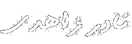 نادر زاهدی
